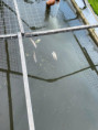 /album/prosba-obcanum/img-20260419-wa0024-1-jpg/
